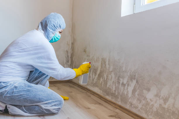 Licensed Crawl Space Mold Removal service in Edgewater, MD - WQB Mold Removal