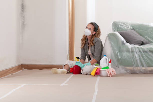Reliable Crawl Space Mold Removal contractor in Edgewater, MD by WQB Mold Removal